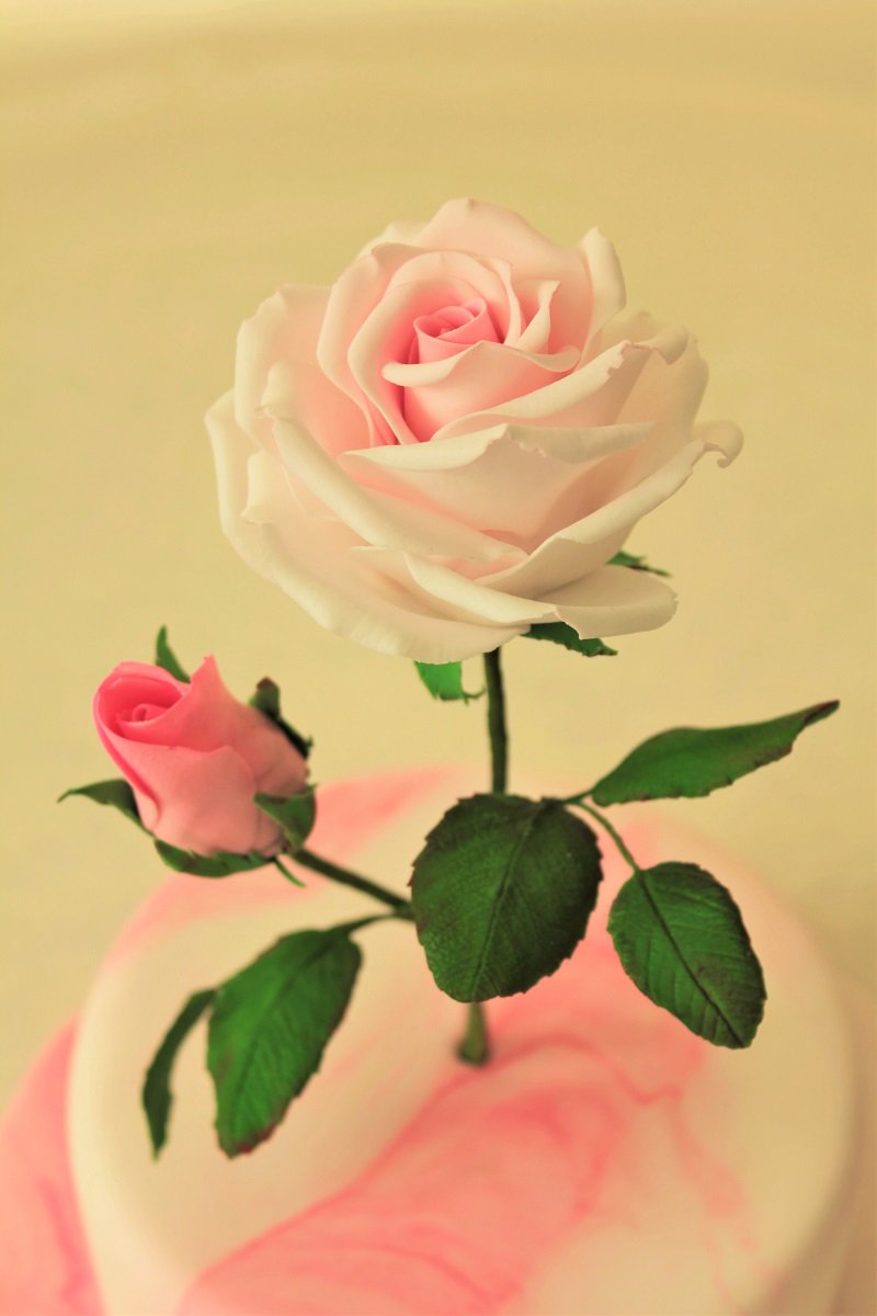 elegateaucakes's tweet image. We still have 3 spots left for the Enchanted Rose Workshop this Sunday. It's currently on Sale so have a look!

ow.ly/HvRz30dBu6n
