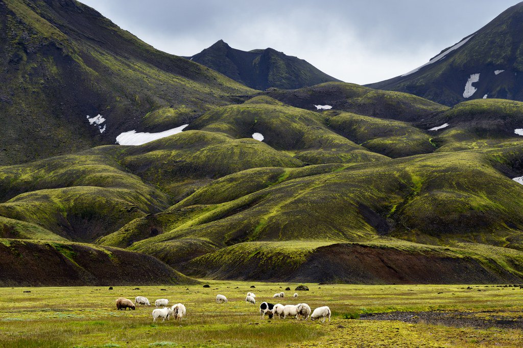 The 10 #Safest #Countries in the World
#tt #travel #traveler #digitalnomad #blog #Adventure
ow.ly/GFIc30dBcpF