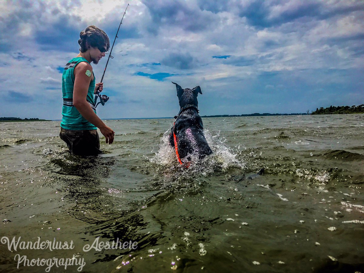 WAPhotograph16's tweet photo. #ocean #beach #swimming #fishing #waves #sand #dog #greatdane #photography https://t.co/qZuvNhirgQ