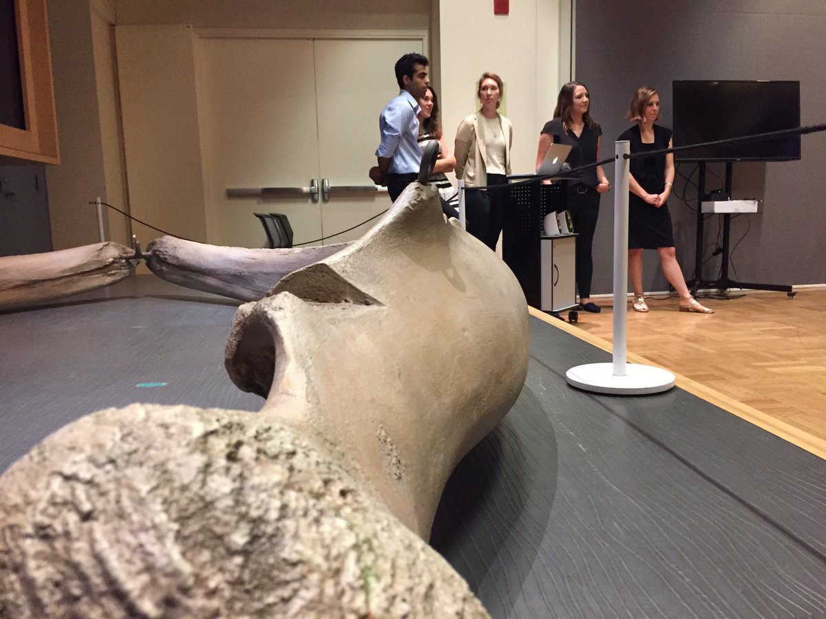 davehireland's tweet photo. @eviscomm 2017 delivered a #scicomm plan to @MinganWhales today: wow. This was a free service, w market value >$30K. Well done indeed. https://t.co/NqVOdHuiIs