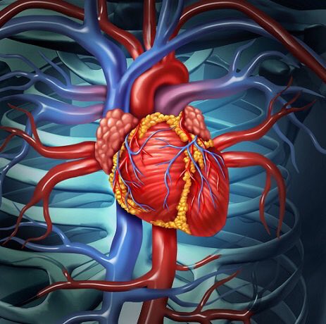 Dr_Khan's tweet photo. Novel cannulation approach to preserving cardiac circulation may translate to humans. #BCVS17 https://t.co/bNvI334pqv https://t.co/oHTVo2Yayg