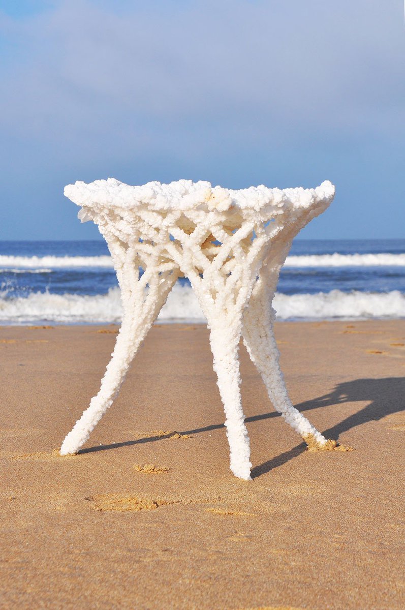 CircularEClub's tweet photo. 'Growing' Designed Objects, found in @MaterialDriven https://t.co/yIvEcbJRf9 #DesignfromNature #CircularDesign https://t.co/p6KakcstCu