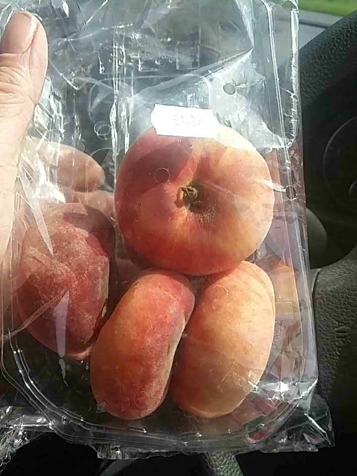 marcushsoiled's tweet photo. All I can say is....donut peaches really are the dogs jewels of the peaches world. #itsapeach https://t.co/aJCu79DqKo