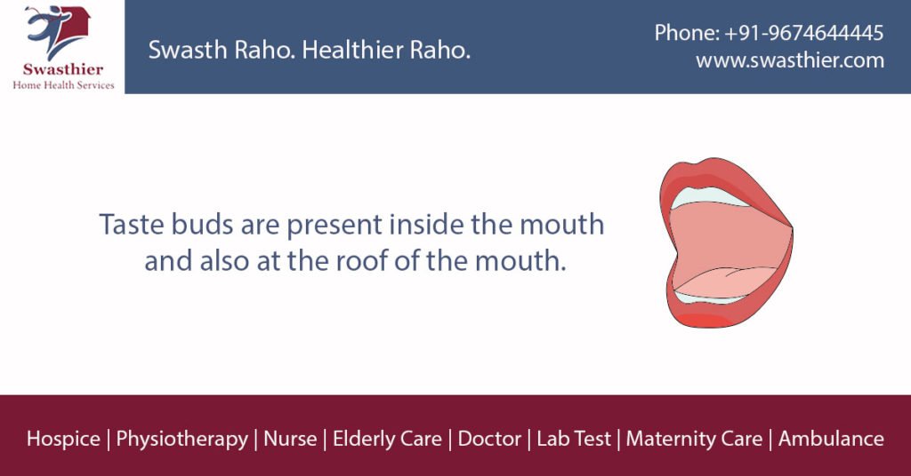 SwasthierHealth's tweet photo. #HomeHealthCare #Kolkata #MedicalFact #Mouth #SwasthRahoHealthierRaho #TasteBuds https://t.co/eKoWASbYNk