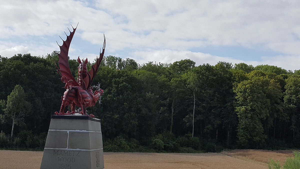 Mametz Wood. 4000 men from the Welsh Division fell trying to take this wood July 1916 <a href="/Willows_French/">Willows_French</a>