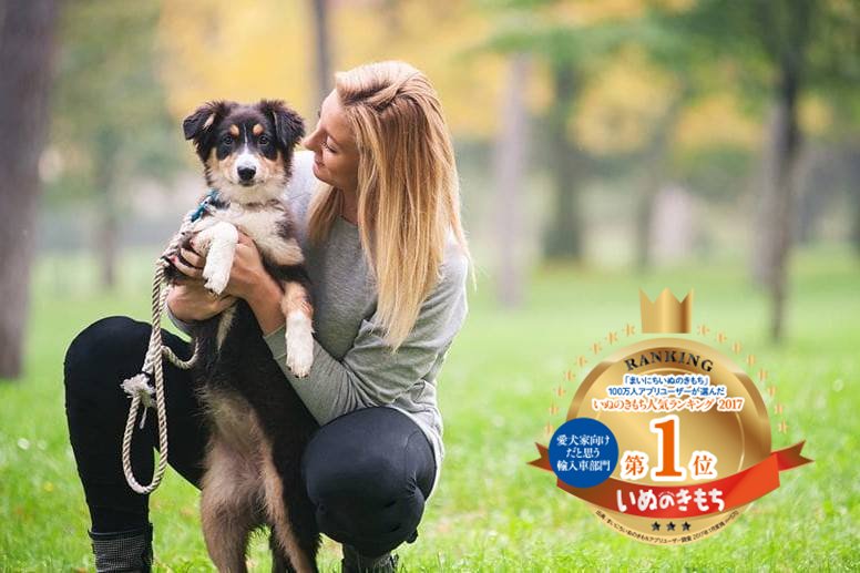 Volvocarjapan ボルボが1位に 愛犬家向けアプリ まいにちいぬのきもち のユーザーが選んだ 犬にやさしいアイテム人気ランキング 白書 17 のお出かけ部門で ボルボが 愛犬家向けだと思う輸入車ランキング第1位 を獲得しました T Co