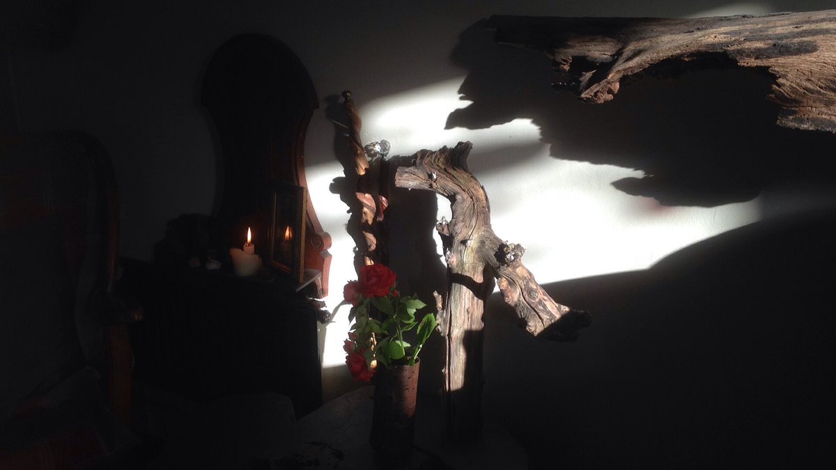 Performing in da house last night , 'The Village Bees'
facebook.com/permalink.php?…
B Q D W ...we are the B Q D W ..
'In the apiary...
#honeybees