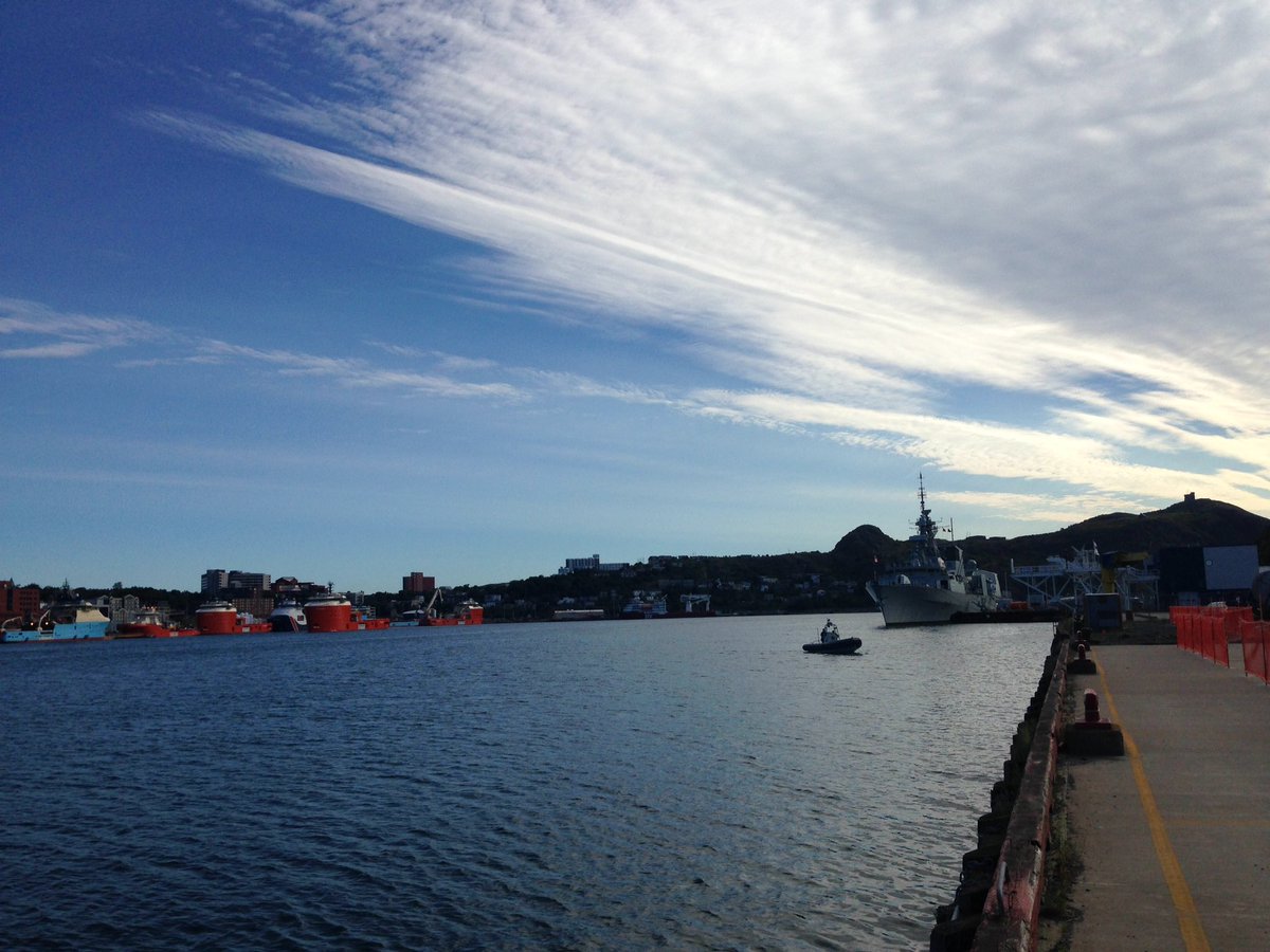 Melissa Royle (@melissaroyle) | Twitter