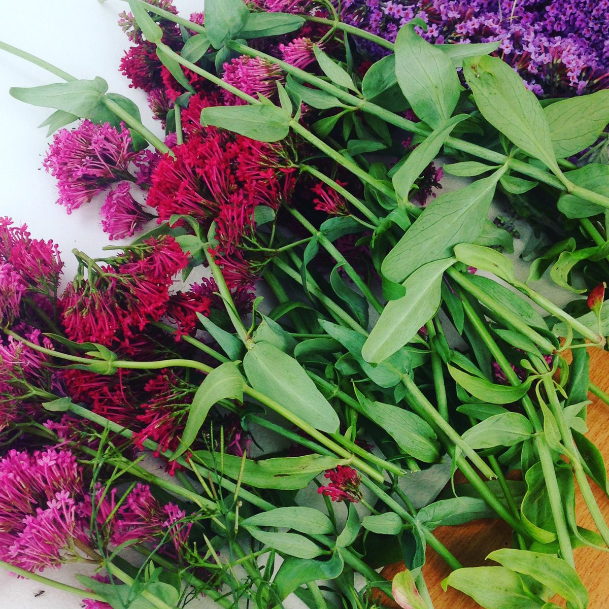 artboxhill's tweet photo. #montopicnic now at Liberty Park #art #community https://t.co/6z9S7lV3H4