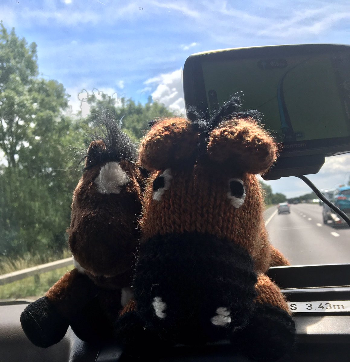 We're on way to <a href="/Hartpury/">Hartpury University and Hartpury College</a> for <a href="/RDAnational/">Riding for the Disabled Association (RDA)</a> Champs, look out for our mascots, <a href="/RDANomad/">Nomad</a> &amp; Dobbin from @ScroptonRDA supporting us!! 🐴🎊💙💛