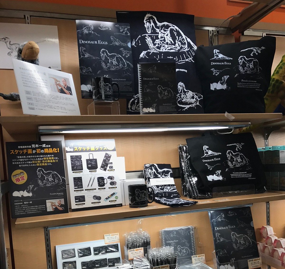 荒木一成 恐竜工房 明日から開幕する福井県立恐竜博物館 特別展 恐竜 の卵 会場のショップの写真をいただきました グッズ フィギュア ぬいぐるみなど 会場限定商品がたくさんありますので 観覧の思い出 お土産にどうぞ にしても スケッチ画が初の