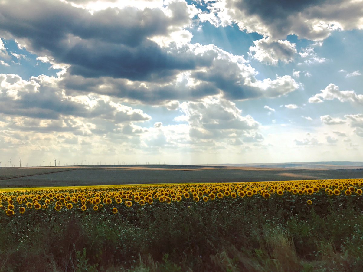 Eliza Marin Greeneli Twitter