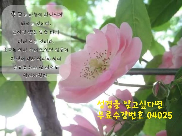 마! 제대로 봐라이 뭐가 맞는지!
youtu.be/aqcpQNowoy0
#교리비교 #땅사분의일의죽음

🌻🌼🌸🌻🌼🌸🌻🌼🌸

🔎너만 살짝 ~ 여기로와 봐~☺
bit.ly/2pftwpG
#무료성경 

🔘신청번호 :04025