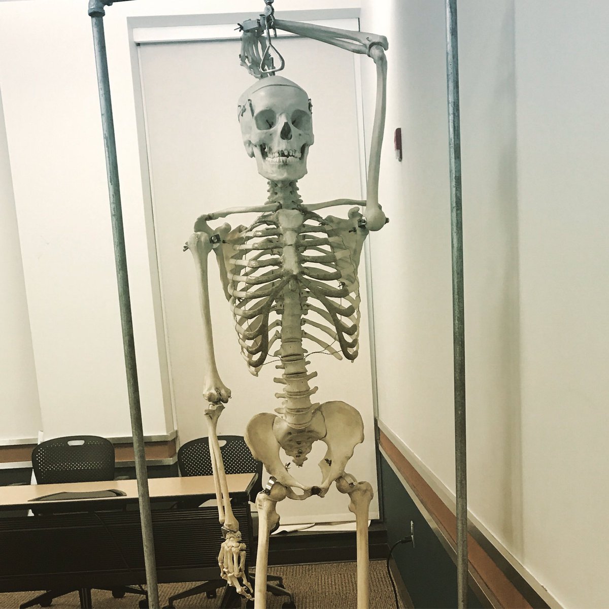 UNC_PA's tweet photo. Preparing for end of rotation exams got us like #paschool #PANCEprep https://t.co/jJLbYVKp59