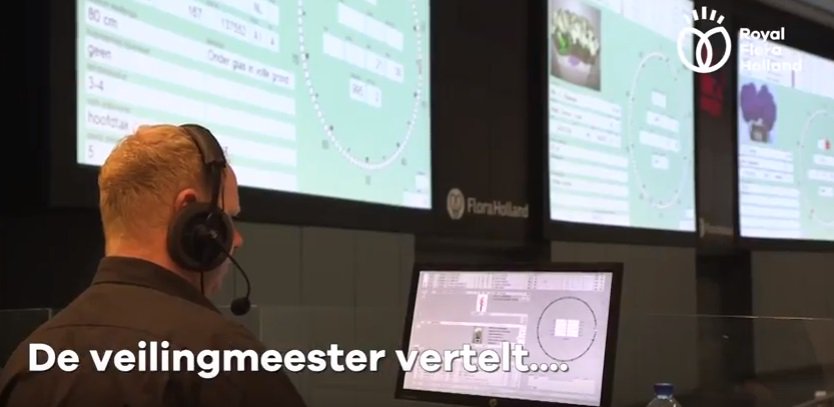 In de #RFHvlog vertelt veilingmeester Paul Freriks u over het zomerbloemenseizoen en de digitaliseringsslag.  mi8.ly/oaodpn