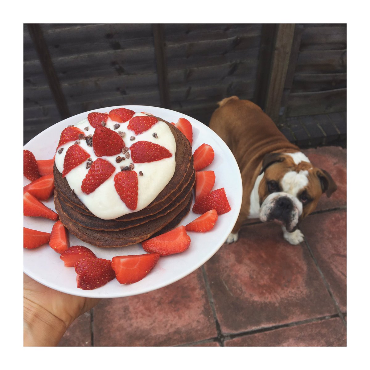 ewabarska's tweet photo. #ProteinPancakes 🥞 for #breakfast 🙌🏻
Recipe on my insta: @ewa.barska

#breakfastofchampions #yummy #foodforgains #foodporn https://t.co/BetytqRha5