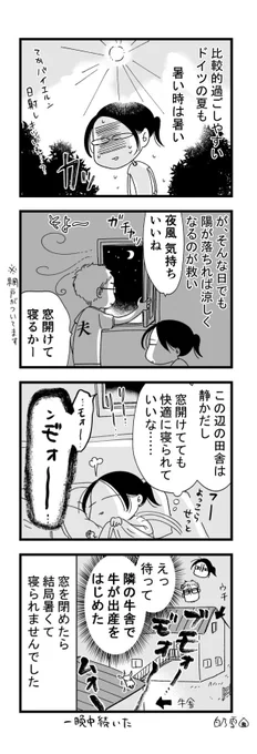 ドイツぐらしinバイエルンの田舎町

「夏の夜の牛」 