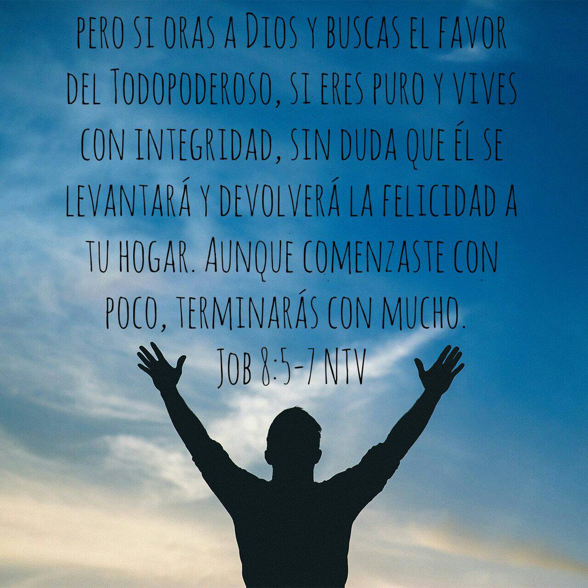 ... él se levantará y devolverá la felicidad a tu hogar. Aunque comenzaste con poco, terminarás con mucho.
Job 8:5-7 NTV