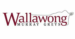 struanp's tweet photo. Wallawong #MurrayGreys Carcase Quality Sale, NSW - 19/23 bulls sold to $10000 (Lot 2) & av. $5421. 9 heifers sold to $3250 and av. $2361. https://t.co/2BunN8hM0n