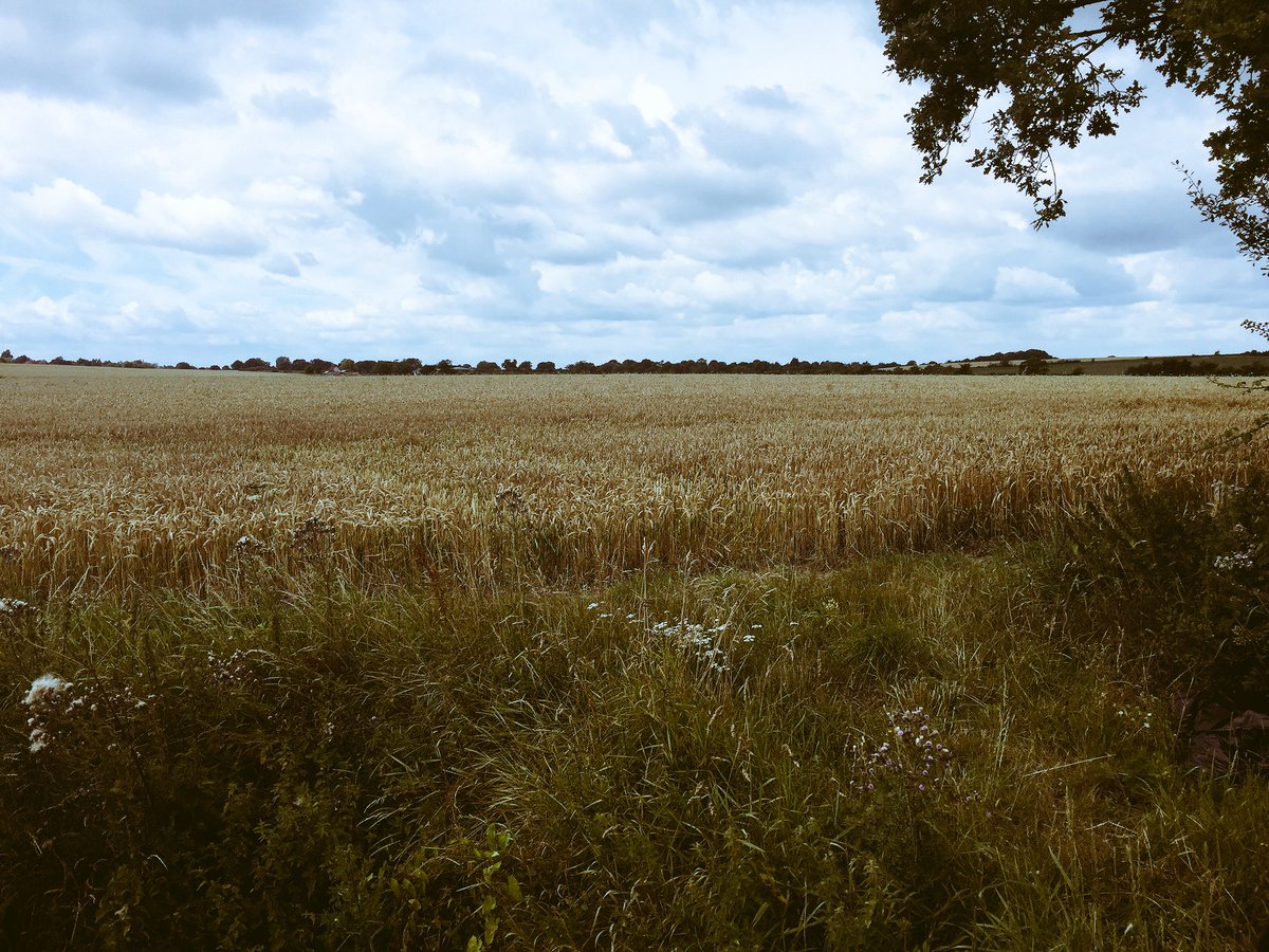 Richard Mill tweet media