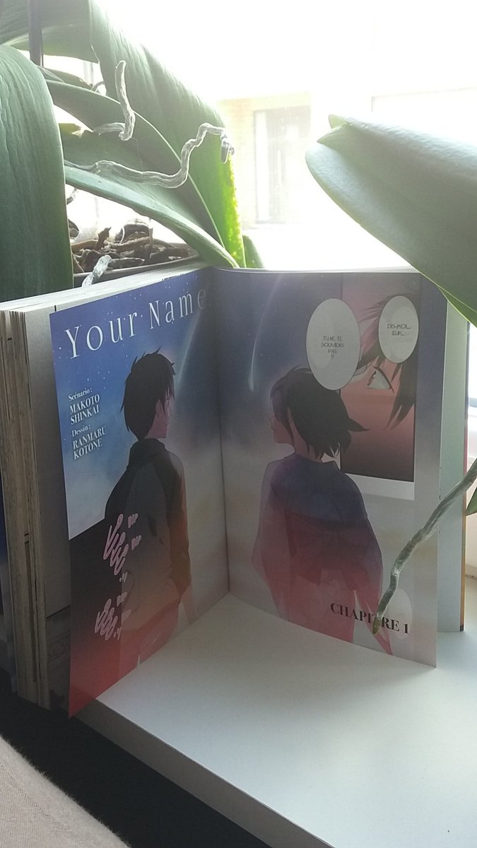 PeterDMFan's tweet image. [Avis Manga] Je lus Your Name en 1 soirée. J'adore l'univers, dessins, ect. Je compte bien lire la version 2, 3,roman, film bref je suis fan