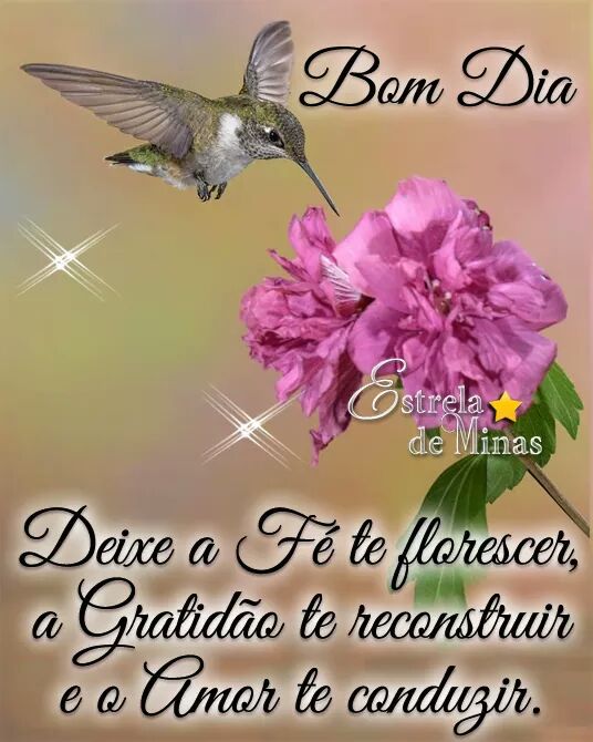 Juliana Timbeta (@motaconceic) on Twitter photo 