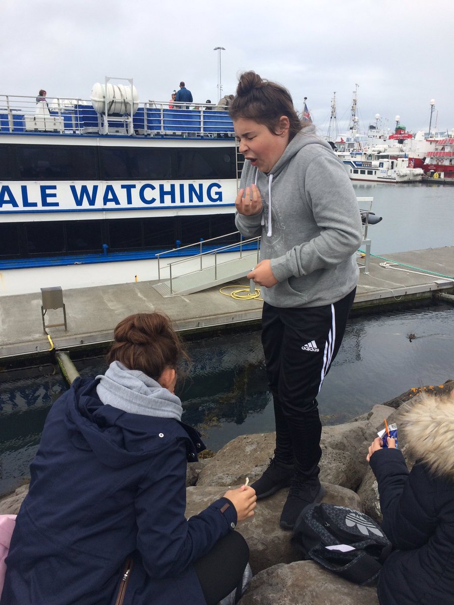 BSCSMFLTrips's tweet photo. @BSCSIceland Tasting a local Icelandic delicacy - fish crisps https://t.co/y0g4QpZVCl