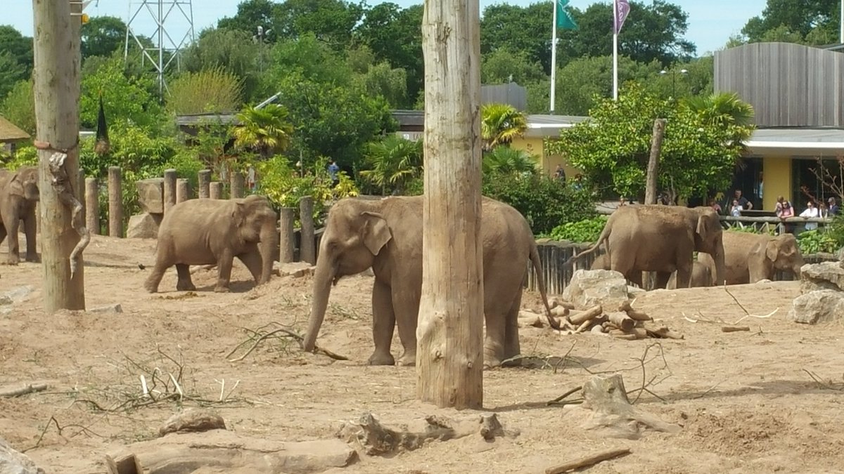 Winsford_Steve's tweet image. Loving @chesterzoo @HellHowie @AufaitwithWine