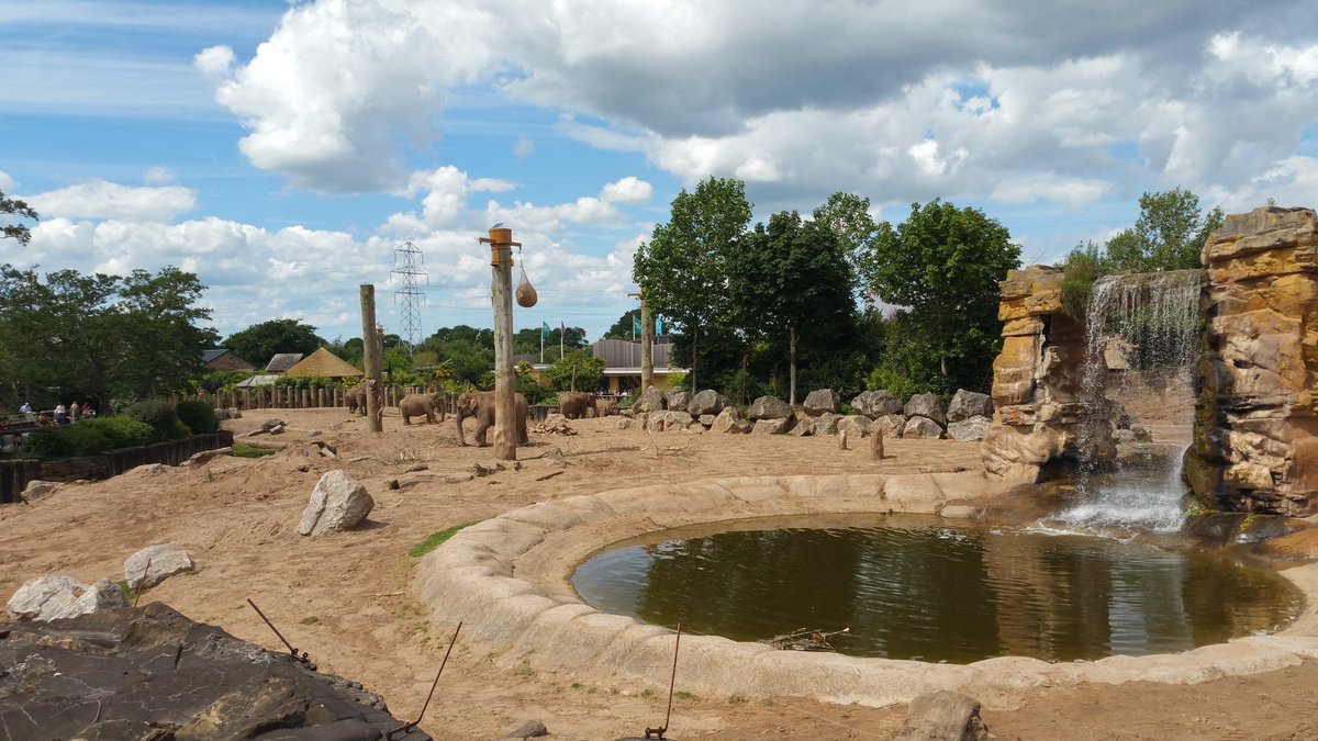 Winsford_Steve's tweet image. Loving @chesterzoo @HellHowie @AufaitwithWine