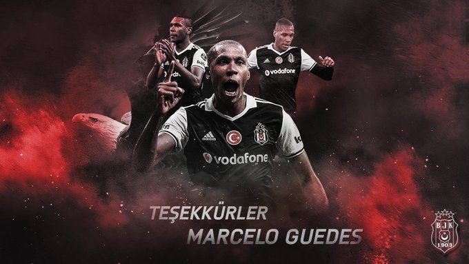 Voir l'image sur Twitter Voir l'image sur Twitter