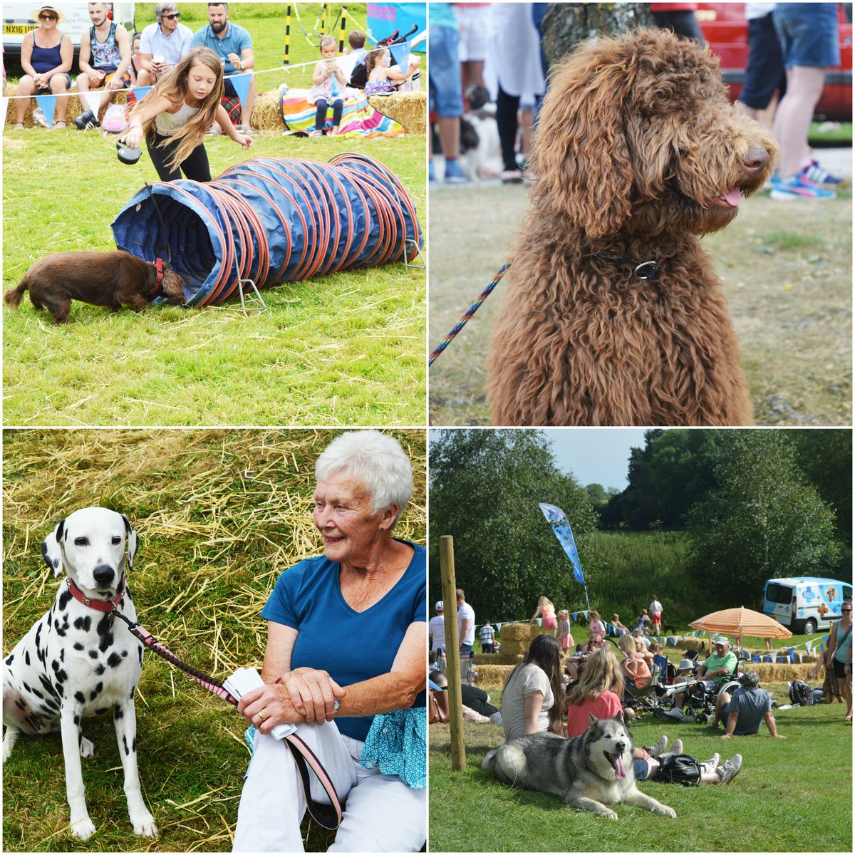*JUST OVER ONE WEEK UNTIL CAMP HILL #SAUSAGE AND #BEER FESTIVAL!* Don't forget we are #dogfriendly so bring your pooches along!