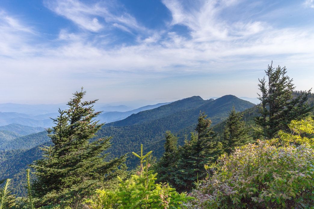 dbo_asheville's tweet photo. Great hiking trails are as close at the @BlueRidgeNPS: https://t.co/NzzDsFdlH3 #AdventureIsLocal https://t.co/NjiSaDUrjo