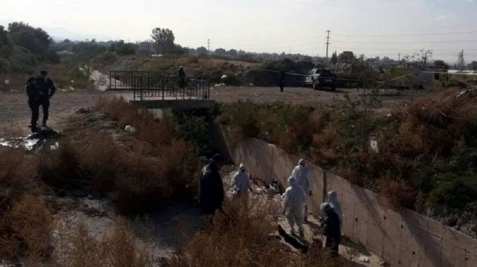 Ver imagen en Twitter