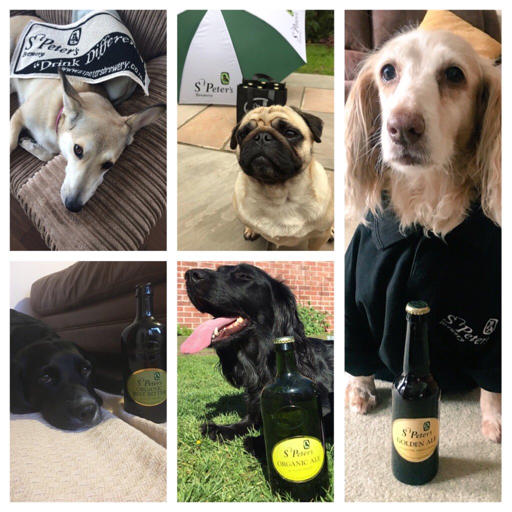 StPetersBrewery's tweet photo. Even our dogs are proud to sponsor @SuffolkDogDay @dogs #dogsoftwitter 🍺🐶🐾 https://t.co/oYSkwrTgyY