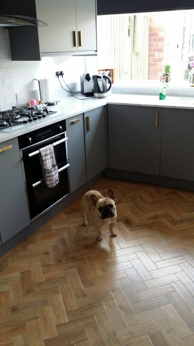 Our @KarndeanFloors installation - had a gorgeous little visitor whilst taking the photo! #new #flooring