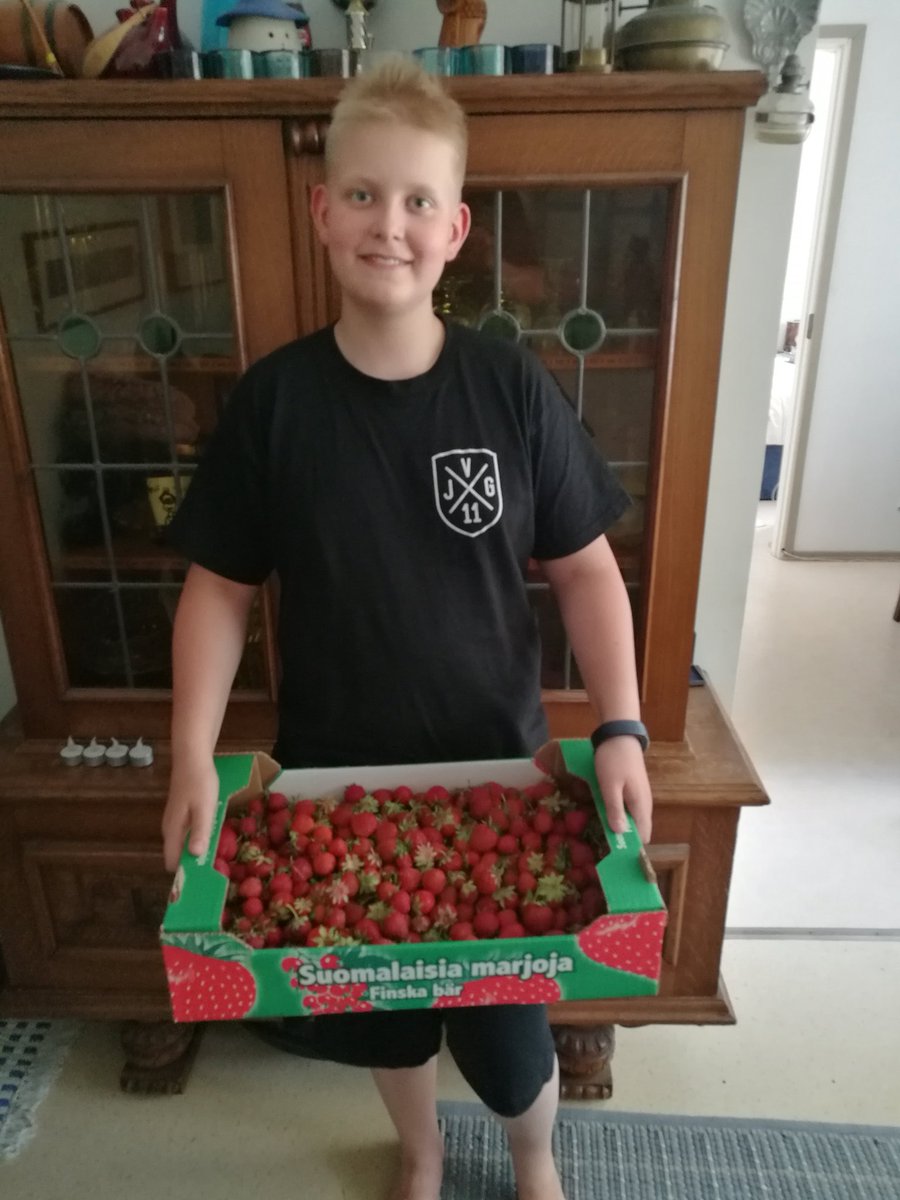 JuhaTenhonen's tweet photo. Pojan väliraportti päivällä mansikkatilanteesta ajoi taas kaupoille eli #suomalaisia #mansikoita🍓 #ltk #nro5 https://t.co/cWQWICASnO