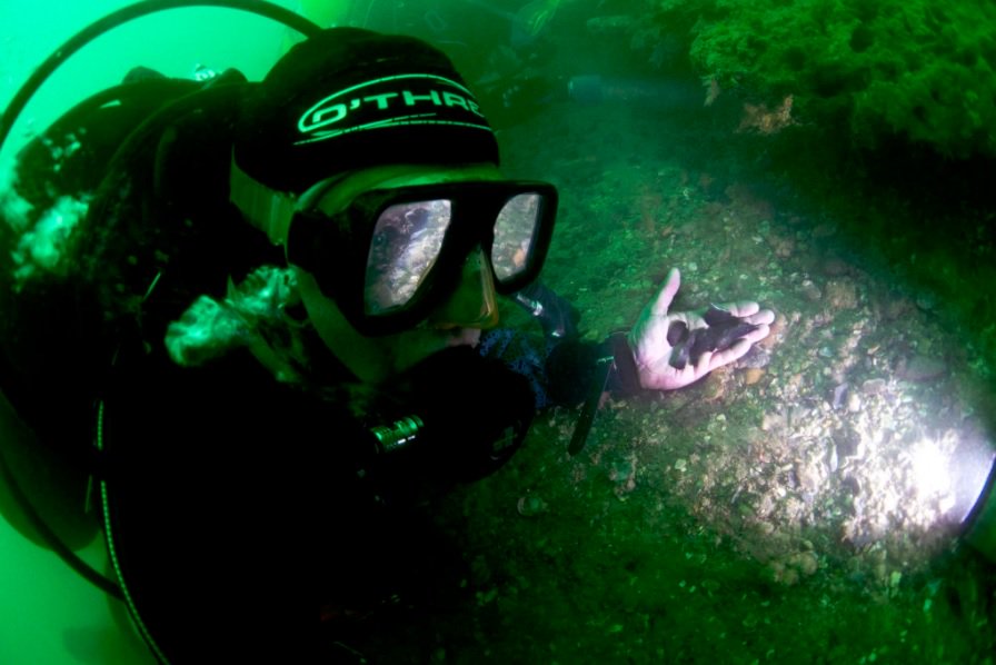 maritimetrust's tweet photo. Interesting post by @HistoricEngland on coastal erosion, sea-level change and archaeology, feat #BouldnorCliff! https://t.co/WcEyLgNV2t https://t.co/dBTc330M2b