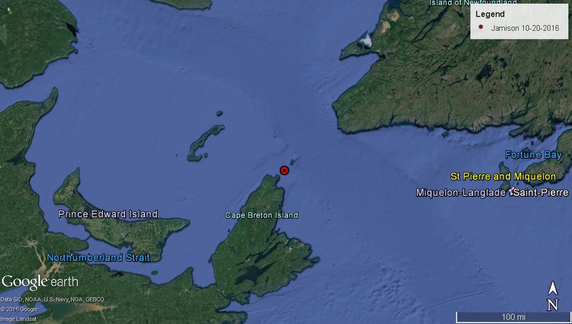 SharkJamison's tweet photo. Since being rescued in 2015 I've been traveling. I've gone south to the SC/GA #lowcountry and north to Cape Breton, NS #greatwhitenorth https://t.co/IZZjmwbD4s