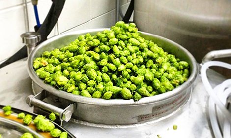 Cibovagare tweet media