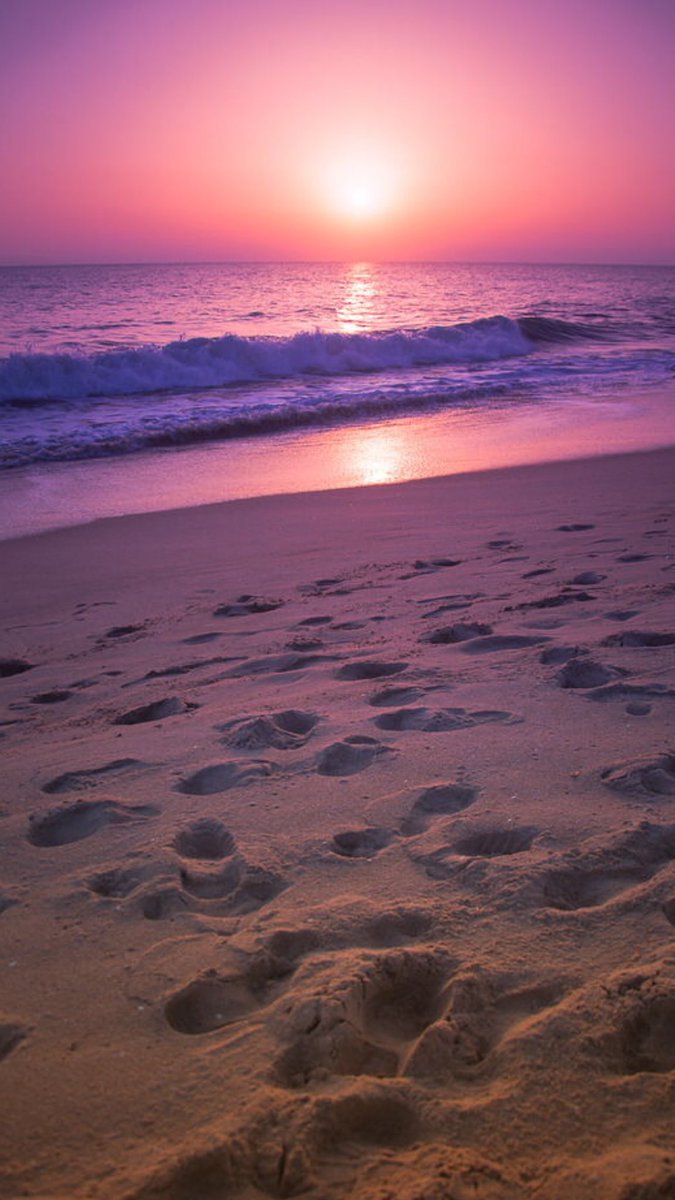 a__279 tweet picture
