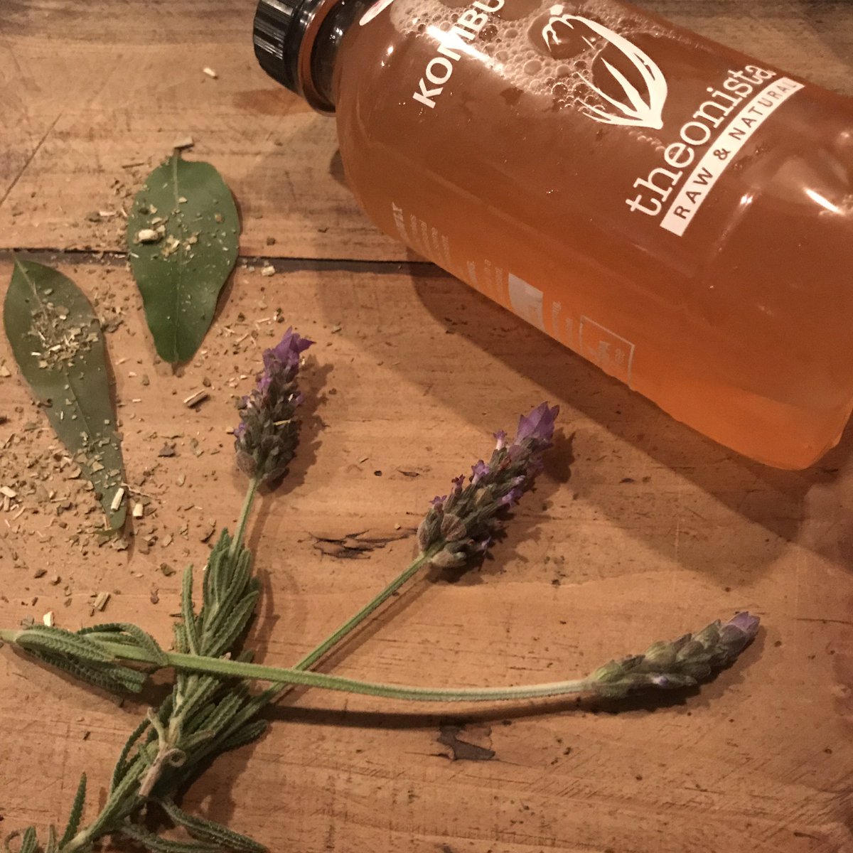 Loved the #Theonistatasting #Kombucha #Theonista