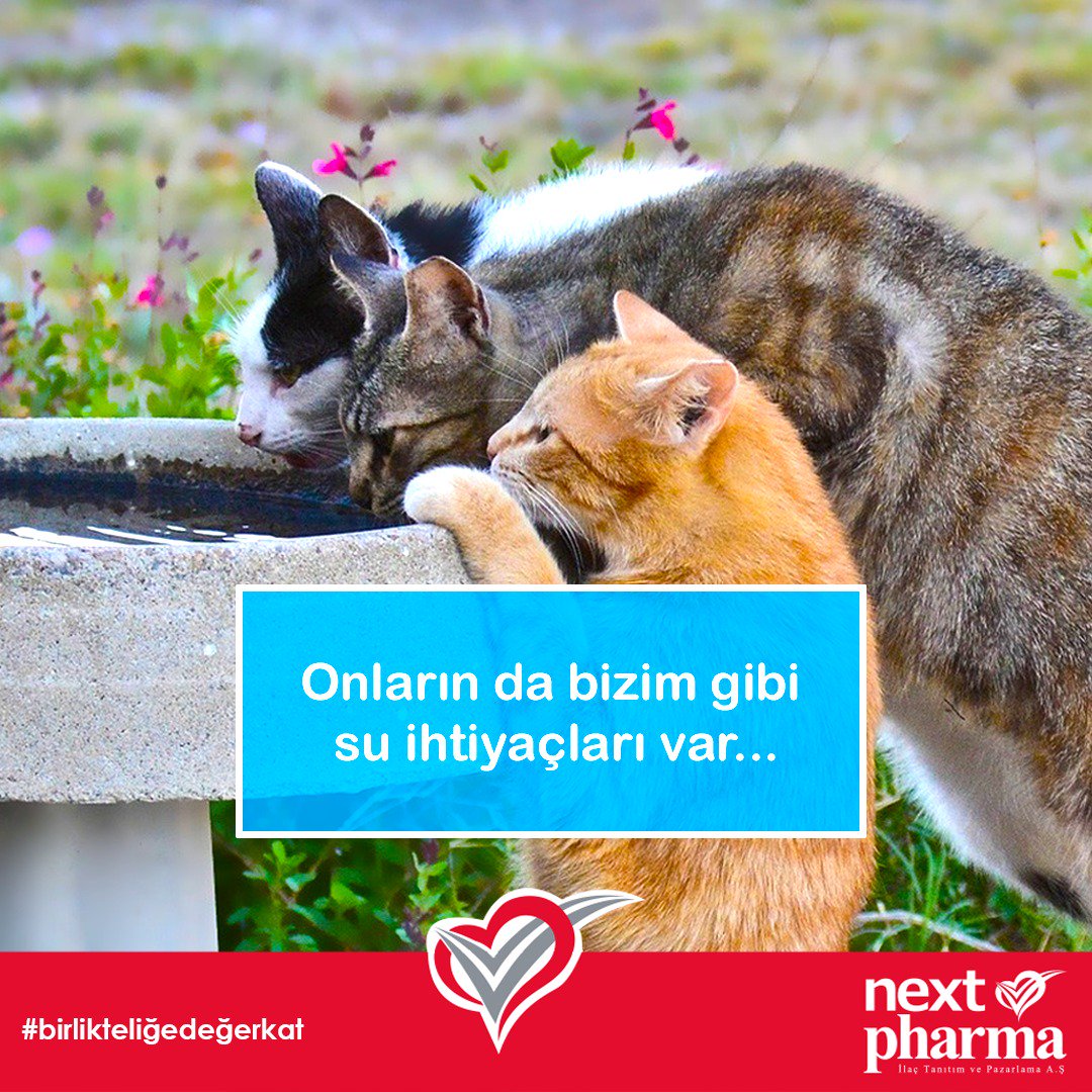 nextpharmailac's tweet photo. Yaz boyunca önlerine bir kap su koy, #birlikteliğedeğerkat.
#nextpharma #sosyalsorumluluk #yaz #sıcak #su https://t.co/1lqM2jaxRz