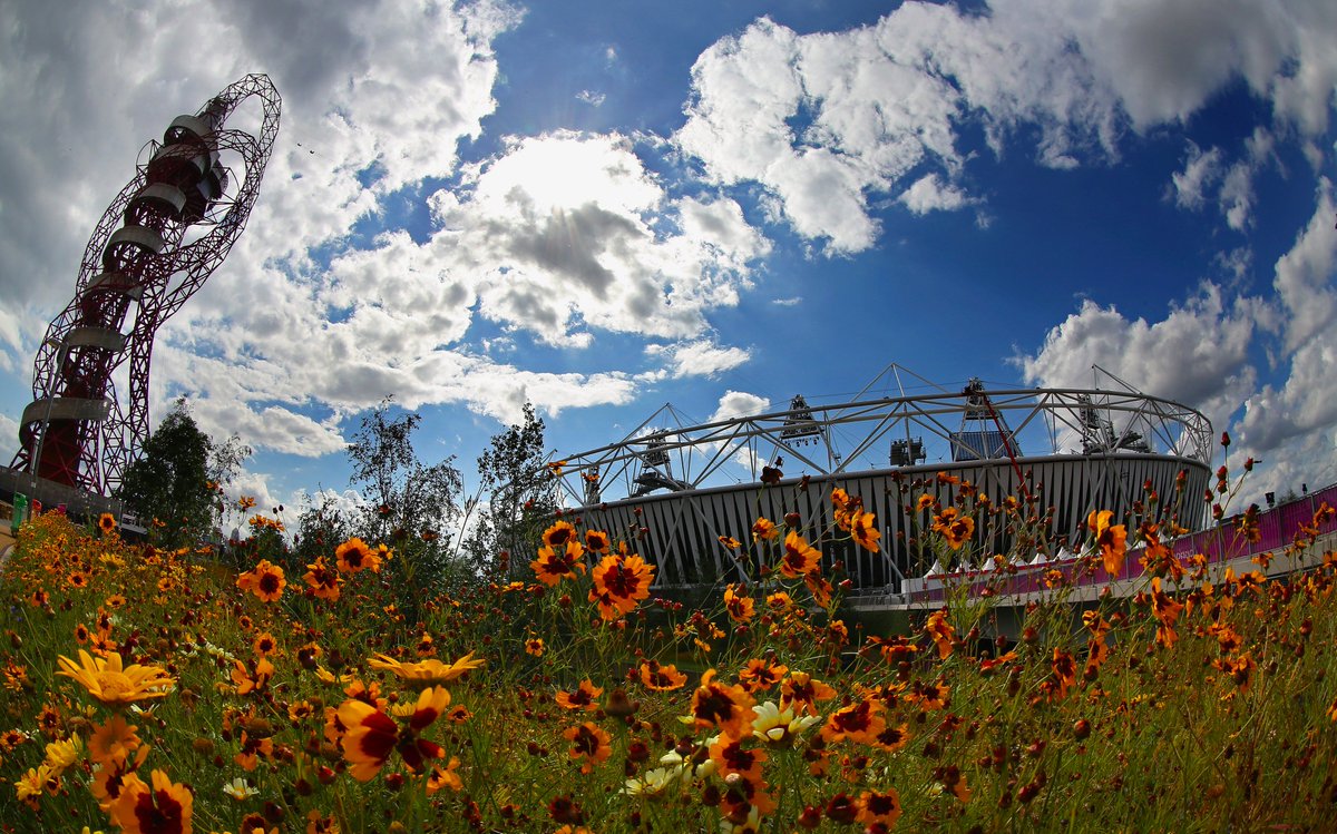 C4 Paralympics tweet media