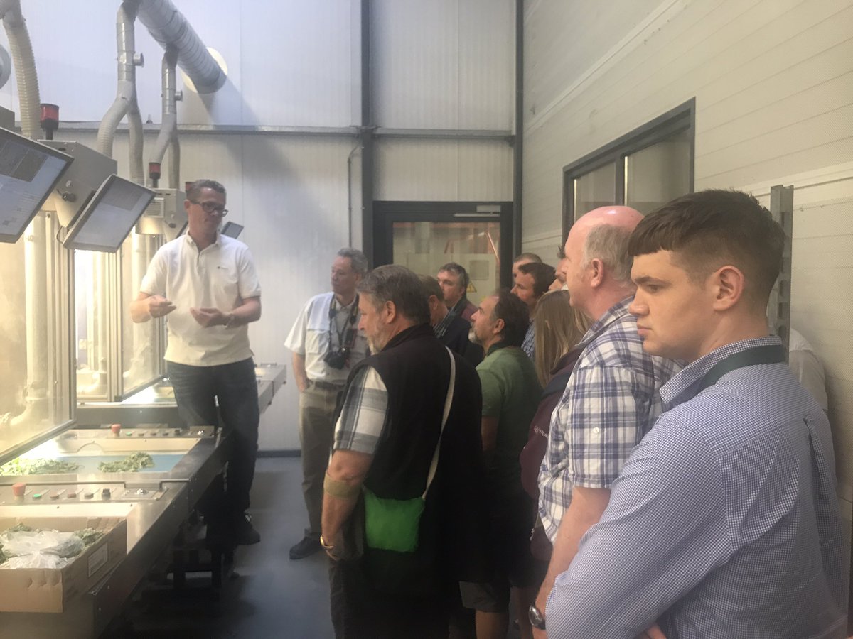 sir_plantalot's tweet photo. WOW ! Incredible visit to @Deliflor  Chrysanthemum production, power of automation is incredible ! Thanks for the visit #ipps2017 https://t.co/PIUEPlCUvj