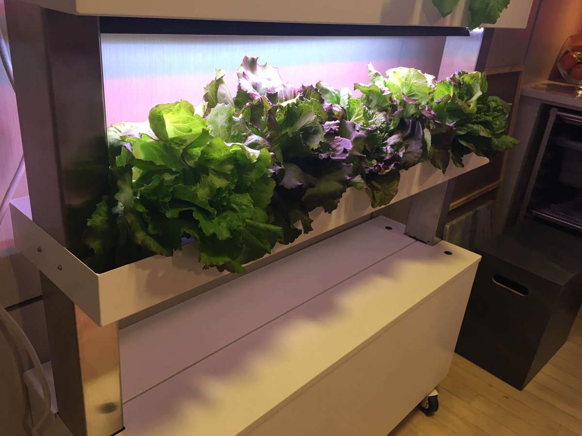 aerostainless's tweet image. So cool to be featured on the @TODAYshow revealing our Mobile Stainless Steel #Hydroponic System! Check it out: hydroponic.aeromfg.com