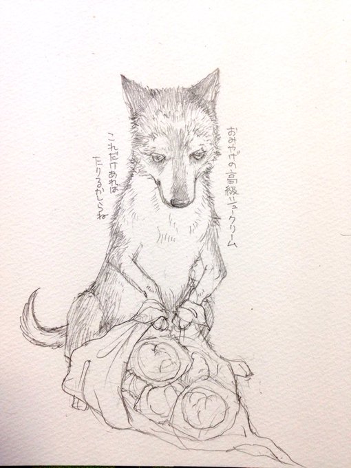 @momodog22 ももこさんの写真を見るのが楽しみでした。
ももこさん、お疲れ様でした。たくさんのことを教えてくださって、ほんとうにありがとうございました。
道中お気をつけて。 