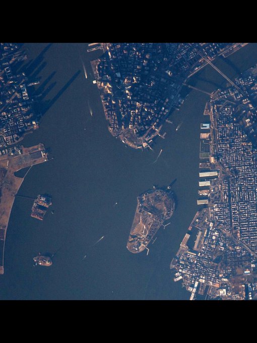 View image on Twitter