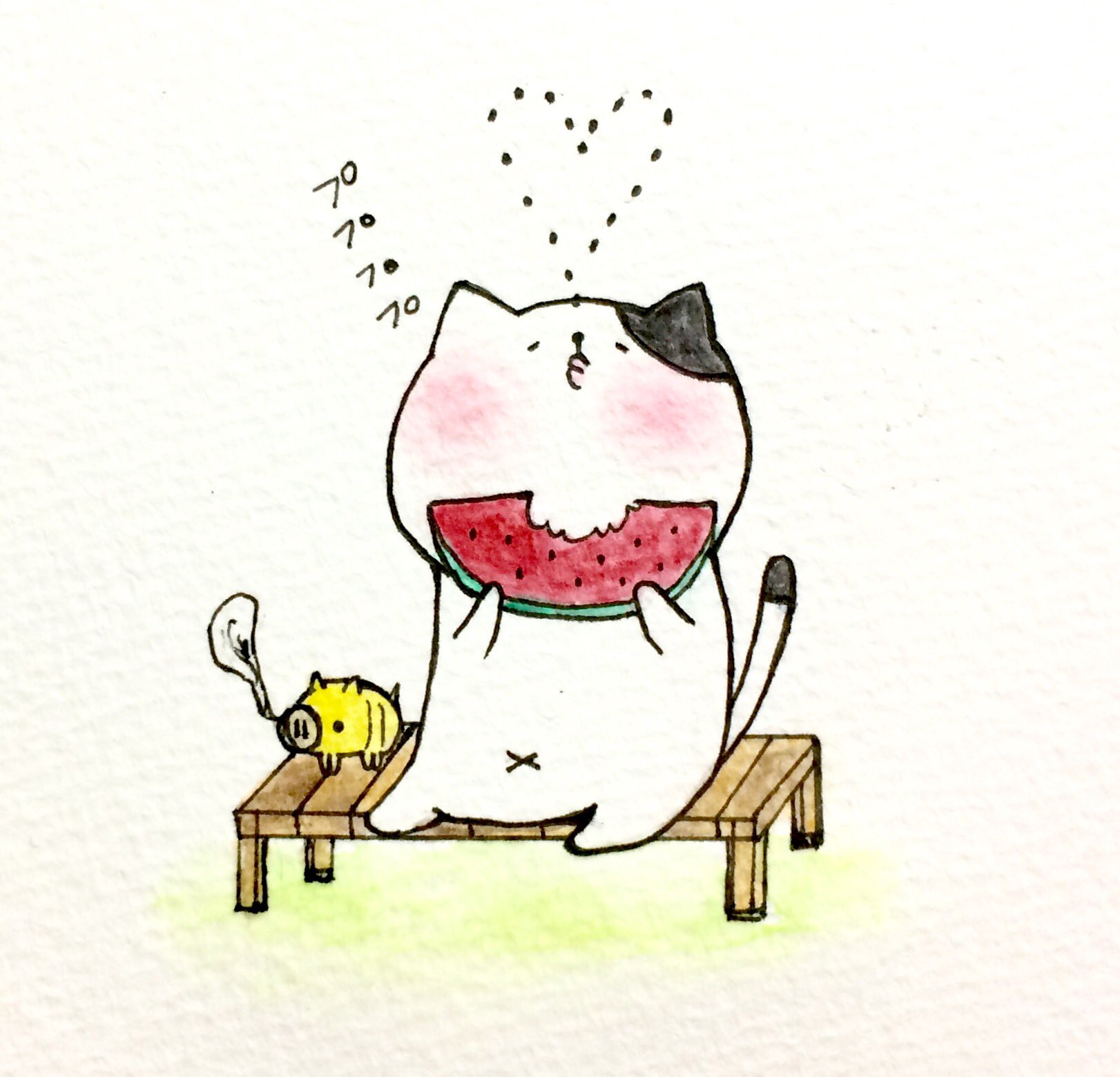 おこにゃん スイカの季節にゃ 芸術的な種飛ばし スイカ 種飛ばし 夏 芸術 イラスト 水彩色鉛筆 ネコ お絵かき 絵描き人 手描き アナログ絵 Cat Summer T Co Txs4vfdxln Twitter