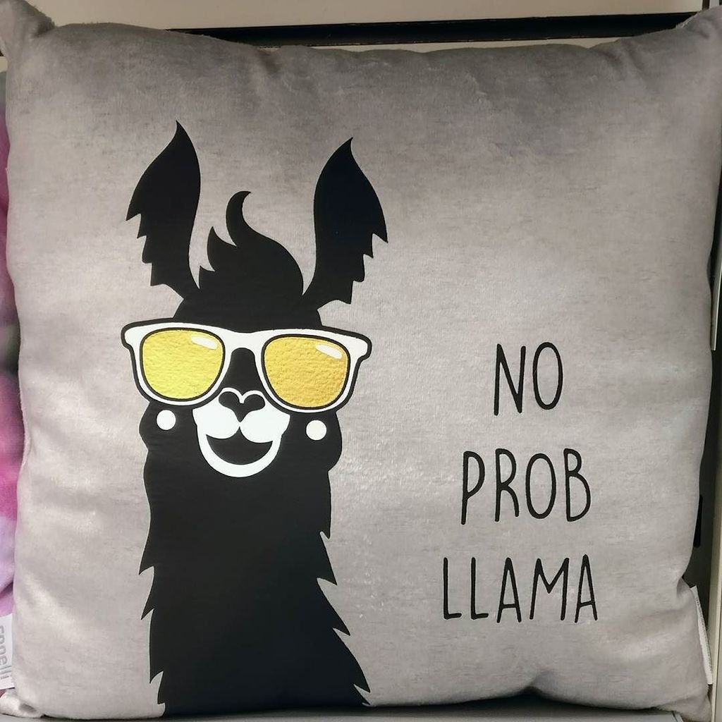 SagMor's tweet photo. Inspirational Pillow 😶 https://t.co/9SDqSPESIy https://t.co/hNeH406Br7