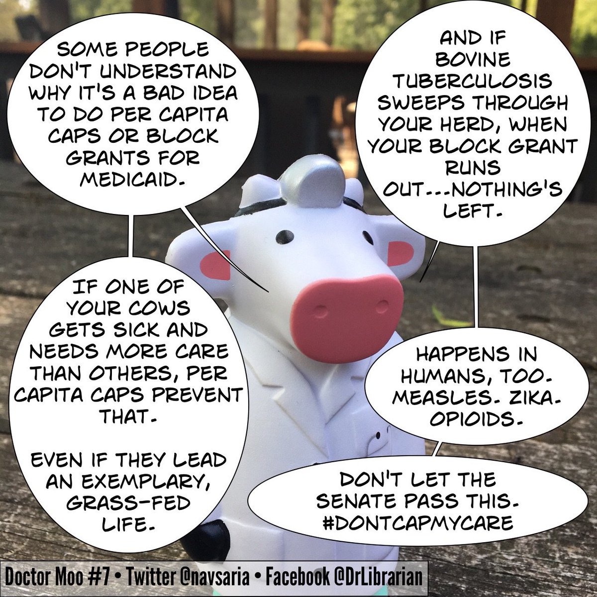 navsaria's tweet photo. How block-granting or per capita capping of Medicaid harms...even if you "lead an exemplary, grass-fed life". #KeepKidsCovered #DrMoo https://t.co/9z7RZOKbVQ